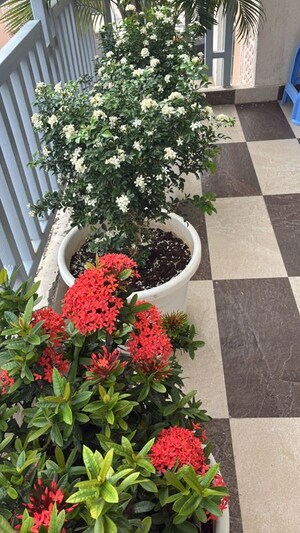 Balcony in 4 BHK Builder Floor at SS Linden, Sector 84 – for Rent