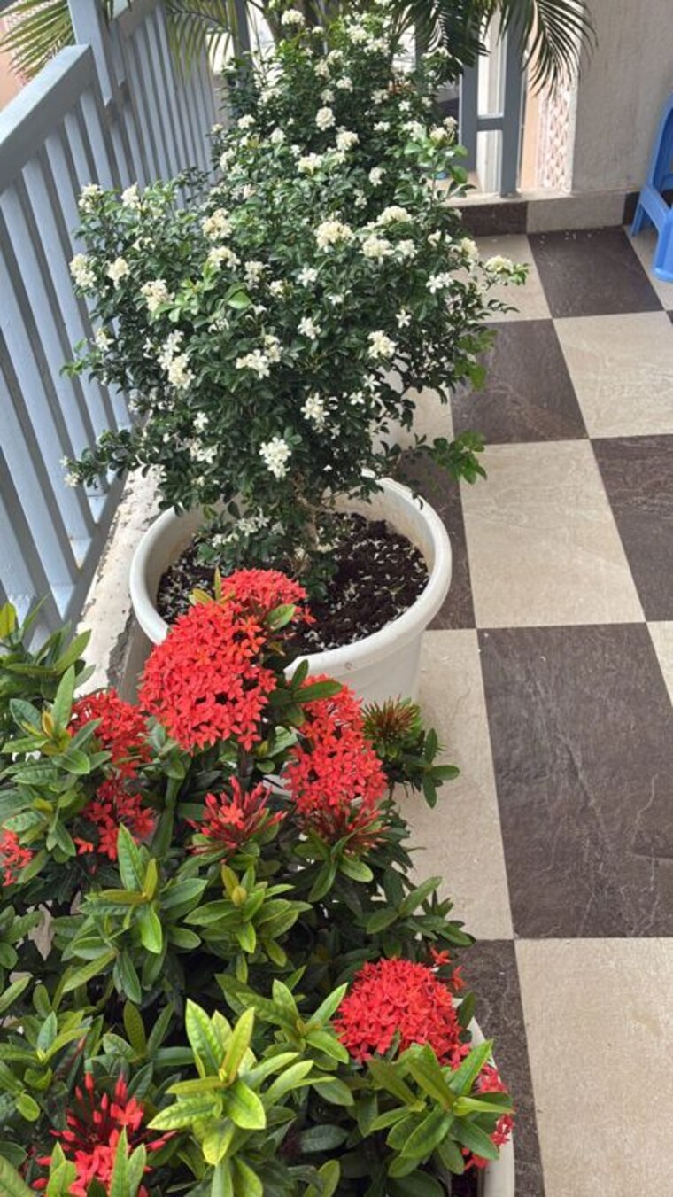 Balcony, ss-linden 4 Bedroom 2600 Sq.Ft. Builder Floor In Sector 84 Gurgaon 10462299