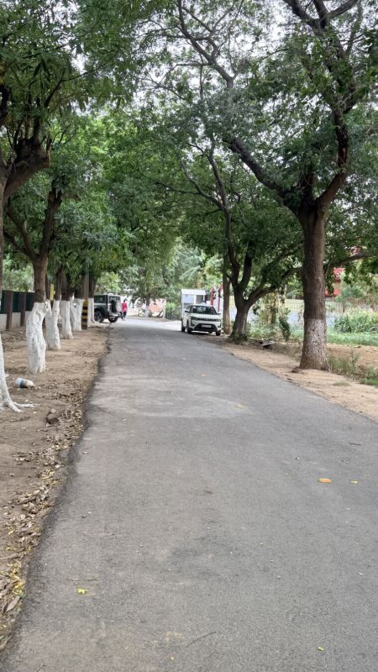  Parking, palam vihar 6+ Bedroom 270 Sq.Yd. Independent House In Palam Vihar Gurgaon 10462320