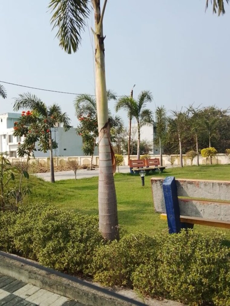 Garden, nainod  1000 Sq.Ft. Plot In Nainod Indore 10462416