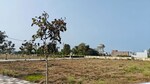 1000 Sq.Ft. Plot in Nainod