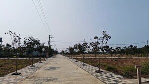 Plot Area in  Plot at Nainod – for Sale