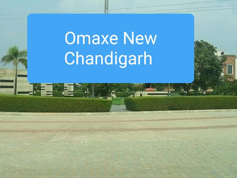 undefined, omaxe-new-chandigarh  221 Sq.Yd. Plot In North Mullanpur Chandigarh 10462637