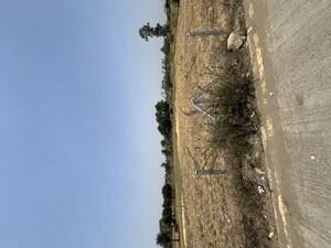  Plot – Exterior View View at Barkhedi Kalan - for Sale