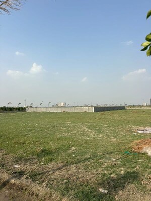 Plot Area in  Plot at SS Sainik Farms, Sector 150 – for Sale