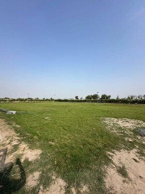 Plot Area in  Plot at SS Sainik Farms, Sector 150 – for Sale