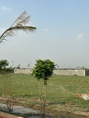 Plot Area in  Plot at SS Sainik Farms, Sector 150 – for Sale