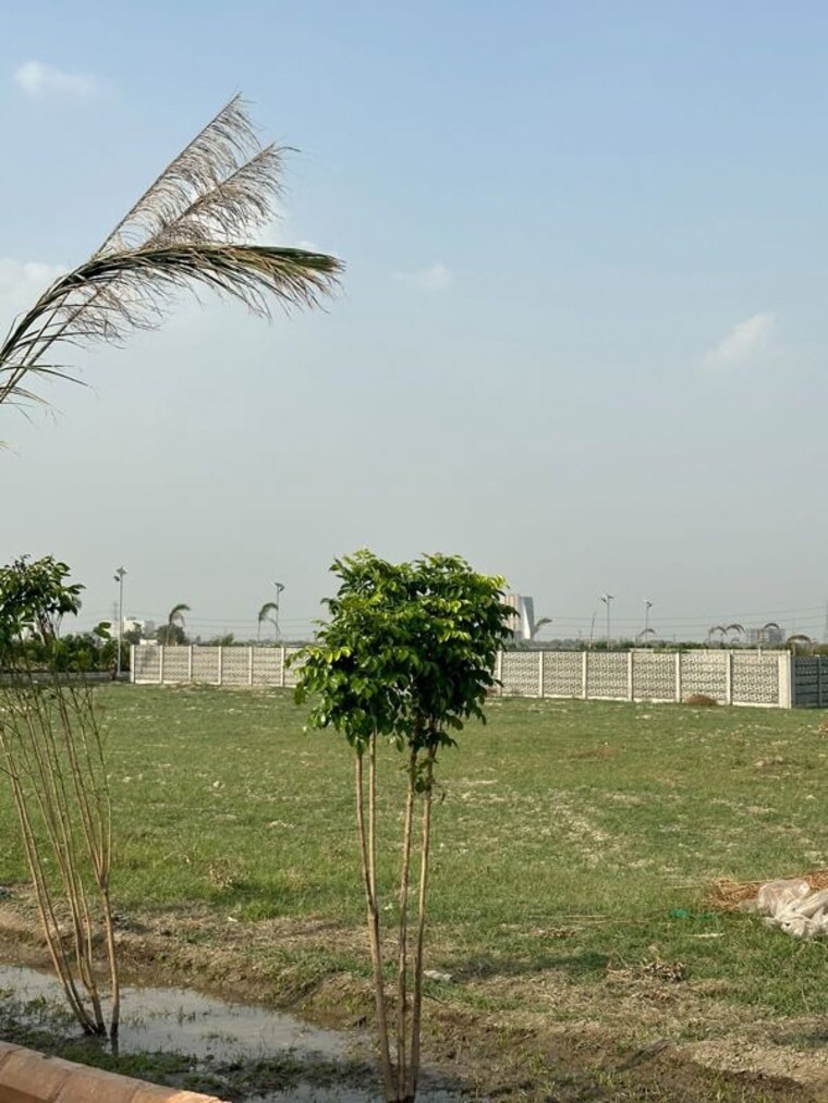 undefined, ss-sainik-farms  1008 Sq.Ft. Plot In Sector 150 Noida 10462935