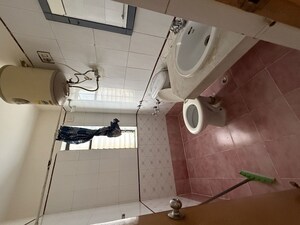 Bathroom in 2 BHK Apartment at Axiom Palm Floors 2, Sector 52 – for Rent