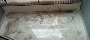 Bathroom in 2 BHK Builder Floor at Malviya Nagar – for Sale