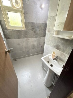 Bathroom in 2 BHK Builder Floor at Nangal Dewat – for Rent