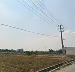 50000 Sq.Ft. Land in Mahanthalingapura