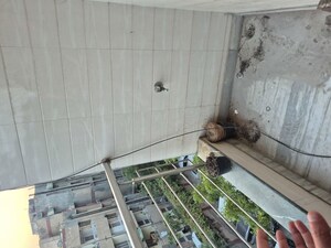 2.5 BHK Builder Floor For Rent in Mayur Vihar