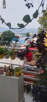 1 Rk  1300 Sq.Ft. Builder Floor in Aman Vihar