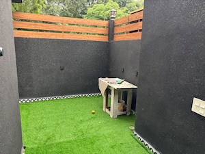 6+ BHK Builder Floor – Exterior View View at Anand Niketan - for Rent