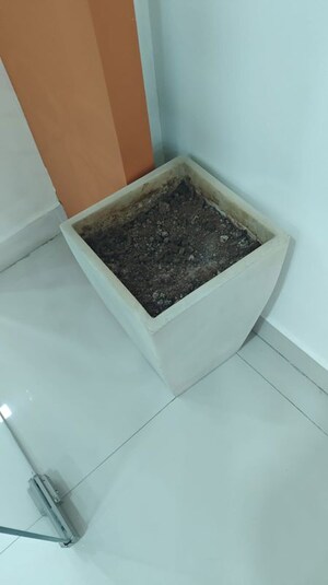 Furnished Amenities in  Office Space at Kasturi Nagar – for Rent