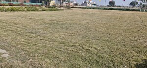  Land For Sale in Sector 35