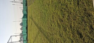 Plot Area in  Land at Sector 35 – for Sale