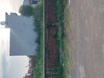 250 Sq.Yd. Plot in Barewal Awana