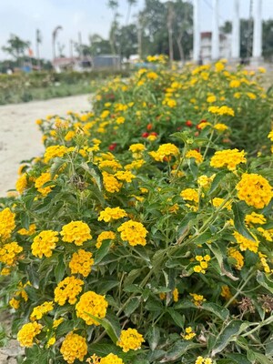  Plot – Garden View at Mohanlalganj - for Sale