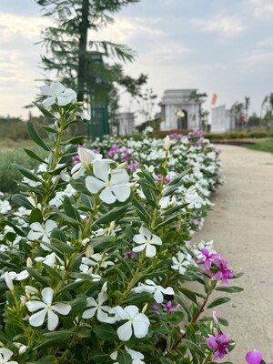  Plot – Garden View at Mohanlalganj - for Sale