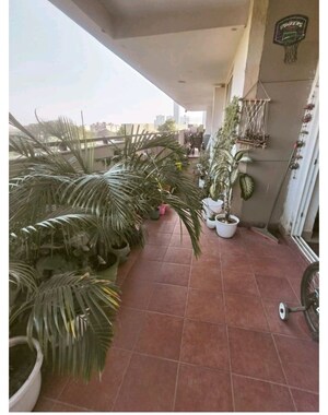 Balcony in 3 BHK Apartment at Brisk Lumbini Terrace Homes, Sector 109 – for Sale