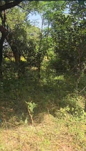  Land For Sale in Miller Ganj
