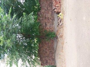  Plot For Sale in Rajguru Nagar