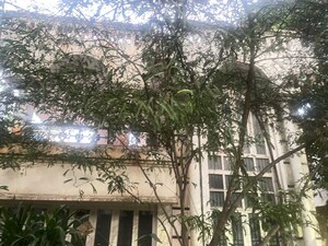 3 BHK Independent House – Exterior View View at Rt Nagar - for Sale