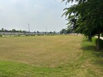 119 Sq.Yd. Plot in Amolik Blossom Woods