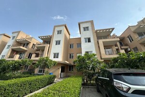 3 BHK Builder Floor For Sale in BPTP Elite Floors, Sector 83