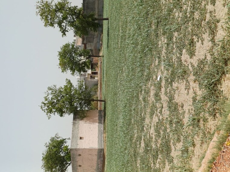 Exterior View, alpha-residences Commercial Land 1009 Sq.Yd. In Sector 150 Noida 10465146