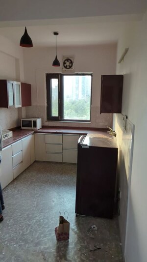 Kitchen in 2.5 BHK Builder Floor at RWA Apartments Sector 40, Sector 40 – for Rent