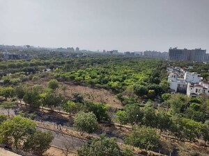 Plot Area in Studio Apartment at Gaur Atulyam, Omicron I Greater Noida – for Rent
