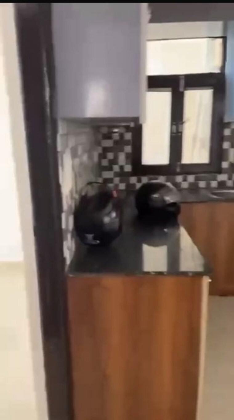 Kitchen, km-residency 2 Bedroom 1175 Sq.Ft. Apartment In Raj Nagar Extension Ghaziabad 10465633
