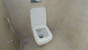 Bathroom in 5 BHK Villa at Boduppal – for Sale