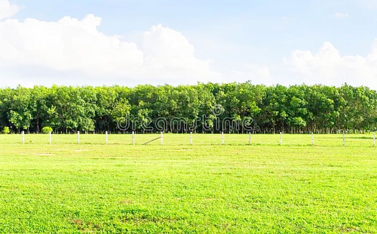 undefined, manneguda  255 Sq.Yd. Plot In Manneguda Hyderabad 10410641