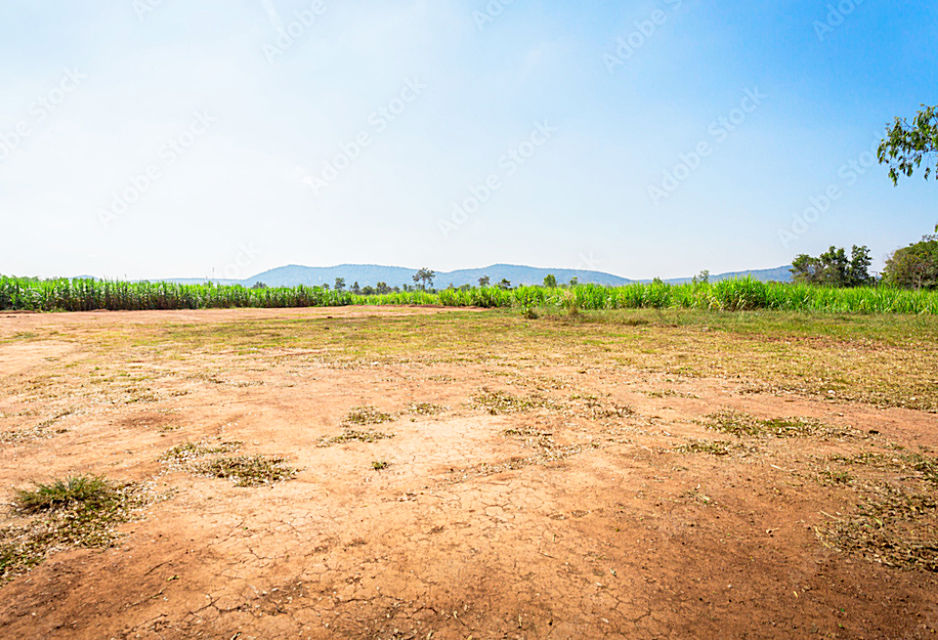 Plot For Sale in Manneguda