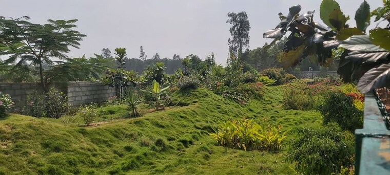 Garden, skh-echium  1500 Sq.Ft. Plot In Whitefield Bangalore 10457911
