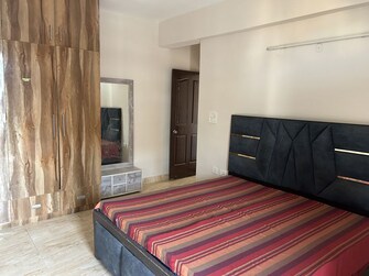 3 BHK Apartment For Rent in TDI City Kingsbury in Kundli, Sonipat