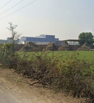  Land For Sale in Bagru