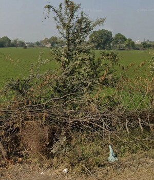 Plot Area in  Land at Bagru – for Sale
