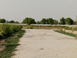 Plot Area in  Plot at Rohta – for Sale
