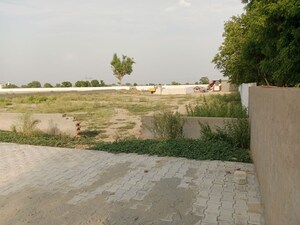 Plot Area in  Plot at Rohta – for Sale