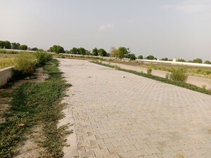 Plot Area in  Plot at Rohta – for Sale