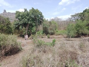 Land For Sale in Panvel