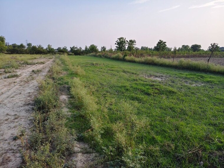 undefined, jankipuram  2500 Sq.Ft. Plot In Jankipuram Lucknow 10466473