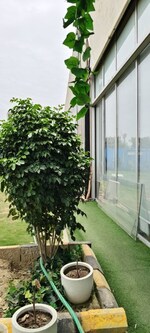 3.5 BHK + Study Room 1595 Sq.Ft. Apartment in JainX Cyber City
