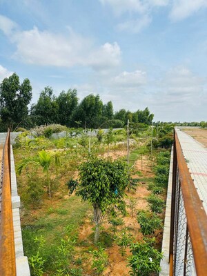 Plot Area in  Plot at SKH Echium, Whitefield – for Sale