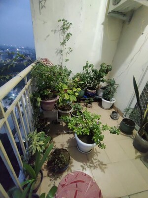 Balcony in 3.5 BHK Apartment at Paramount Emotions, Sector 1 Greater Noida – for Sale